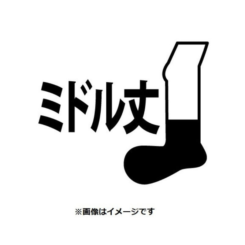 Pokemon Center Socks with Ears Lucario