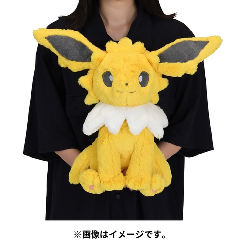 Pokemon Fuwa Fuwa BIG Daki Plush
