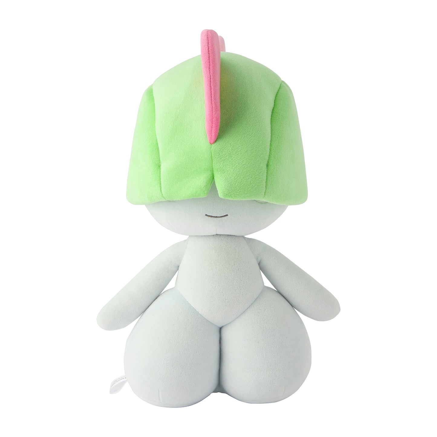 Pokemon Mocchiritchi BIG Mochi Plush (May 2025 Release)