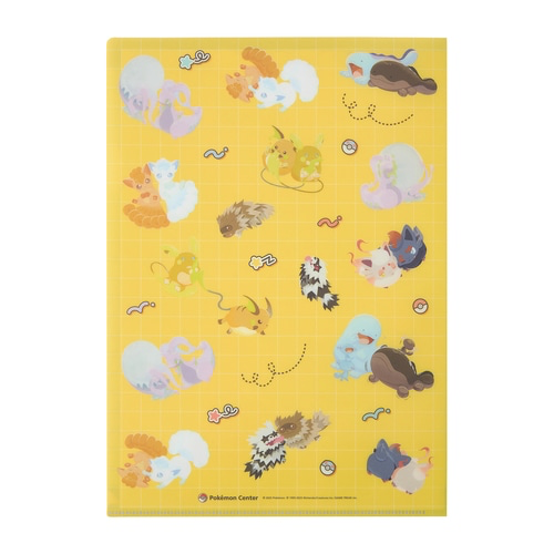 Pokemon Perfect Pair A4 Clear File