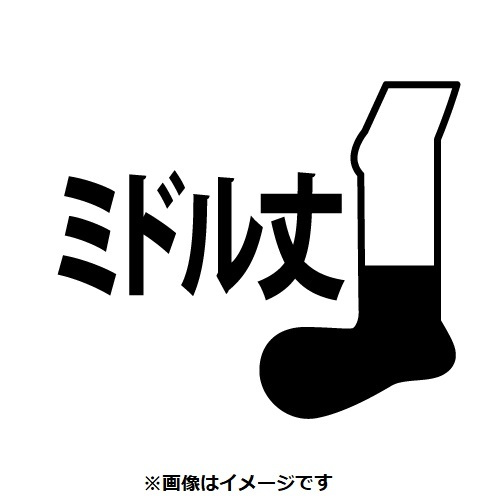 Pokemon Center Socks with Ears Snorlax