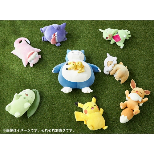 Pokemon Sleep Plush