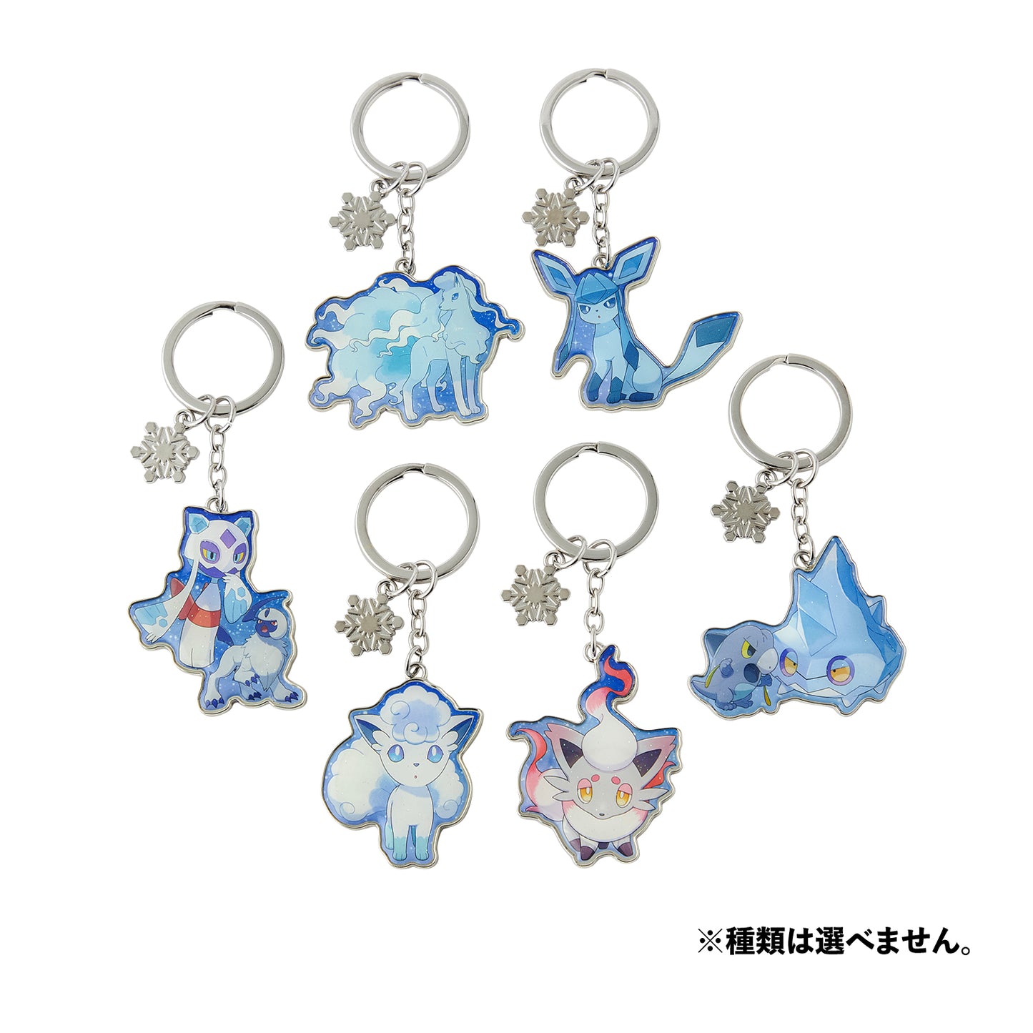 Pokemon Snowy Gathering Metal Key Ring Collection [BLIND]