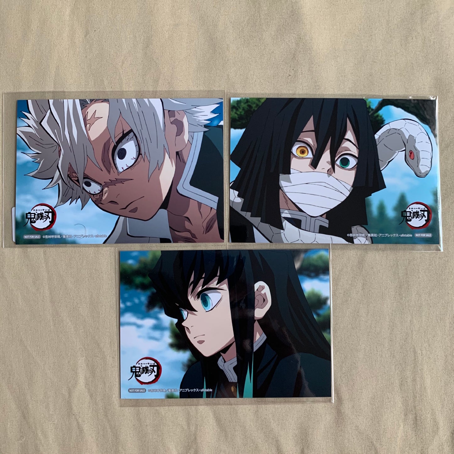 Demon Slayer Cut Scene Postcards