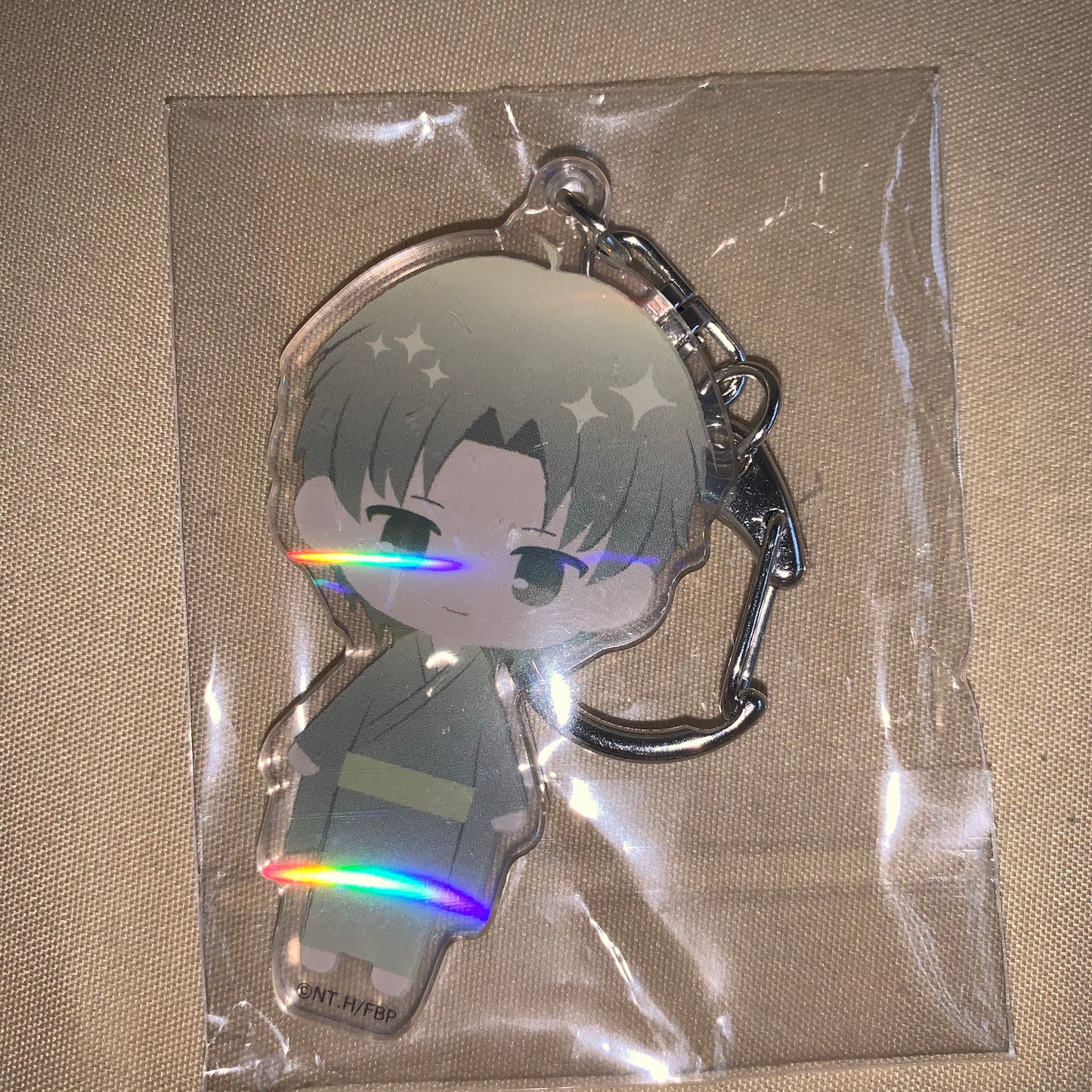 Fruits Basket Pastel Chic Holographic Acrylic Keychain