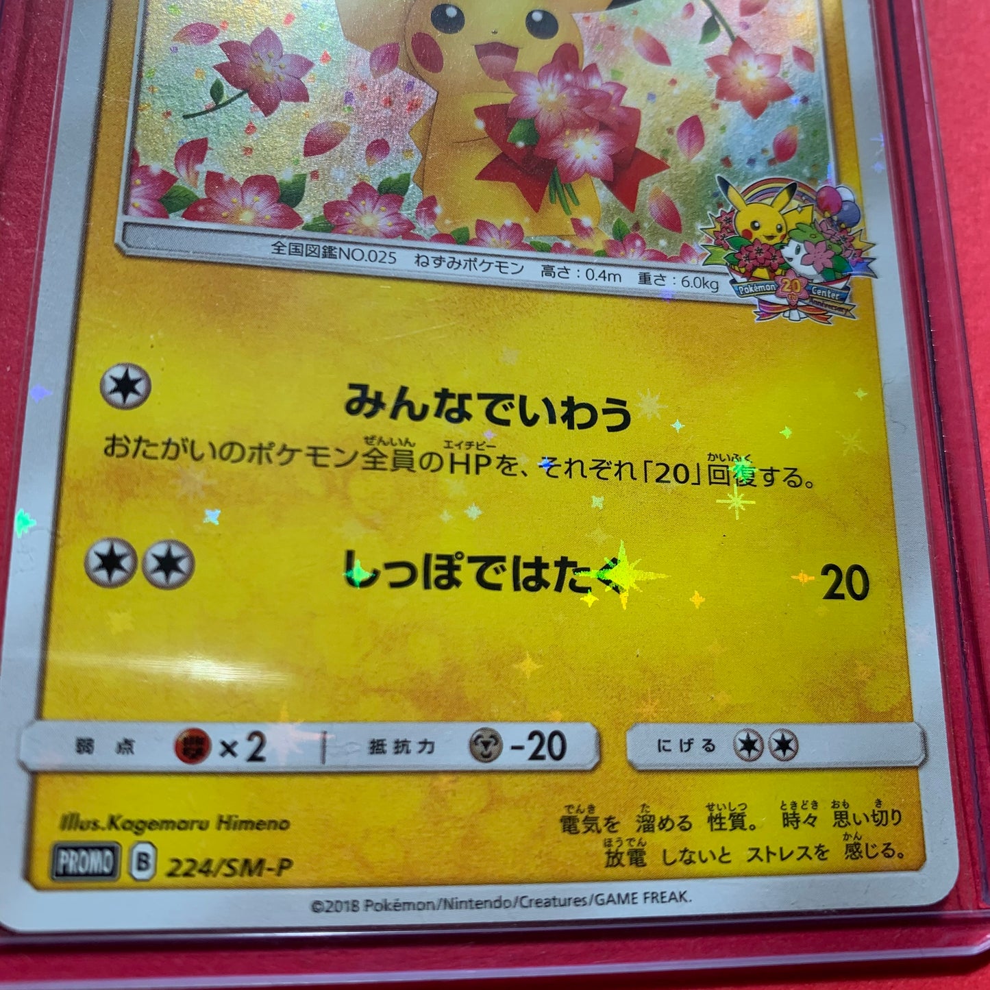 Pokémon TCG Pikachu 20th Anniversary Pokémon Center