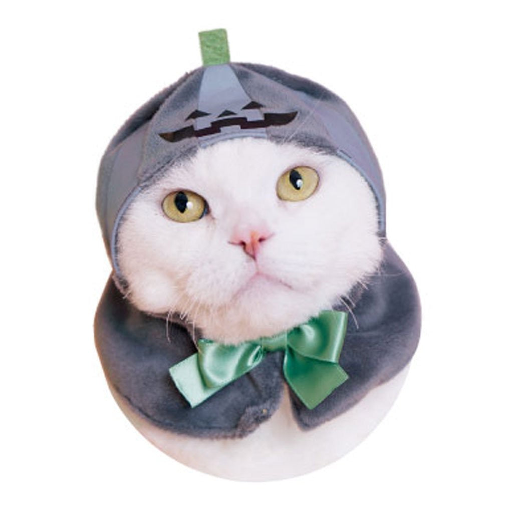 Kitan Club Halloween Cat Hat